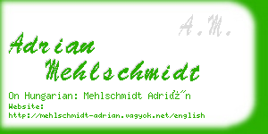 adrian mehlschmidt business card